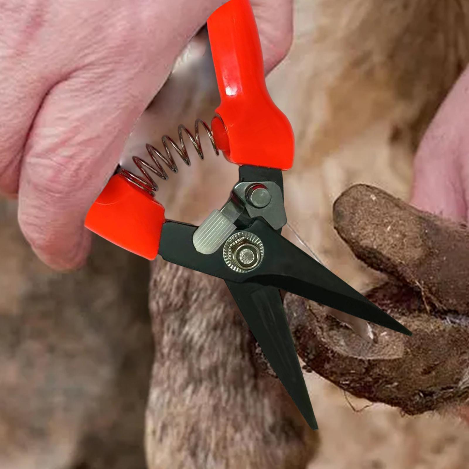 Obcinaki do pazurów owiec, noż – Garden Hand Trowel recenzja i cena