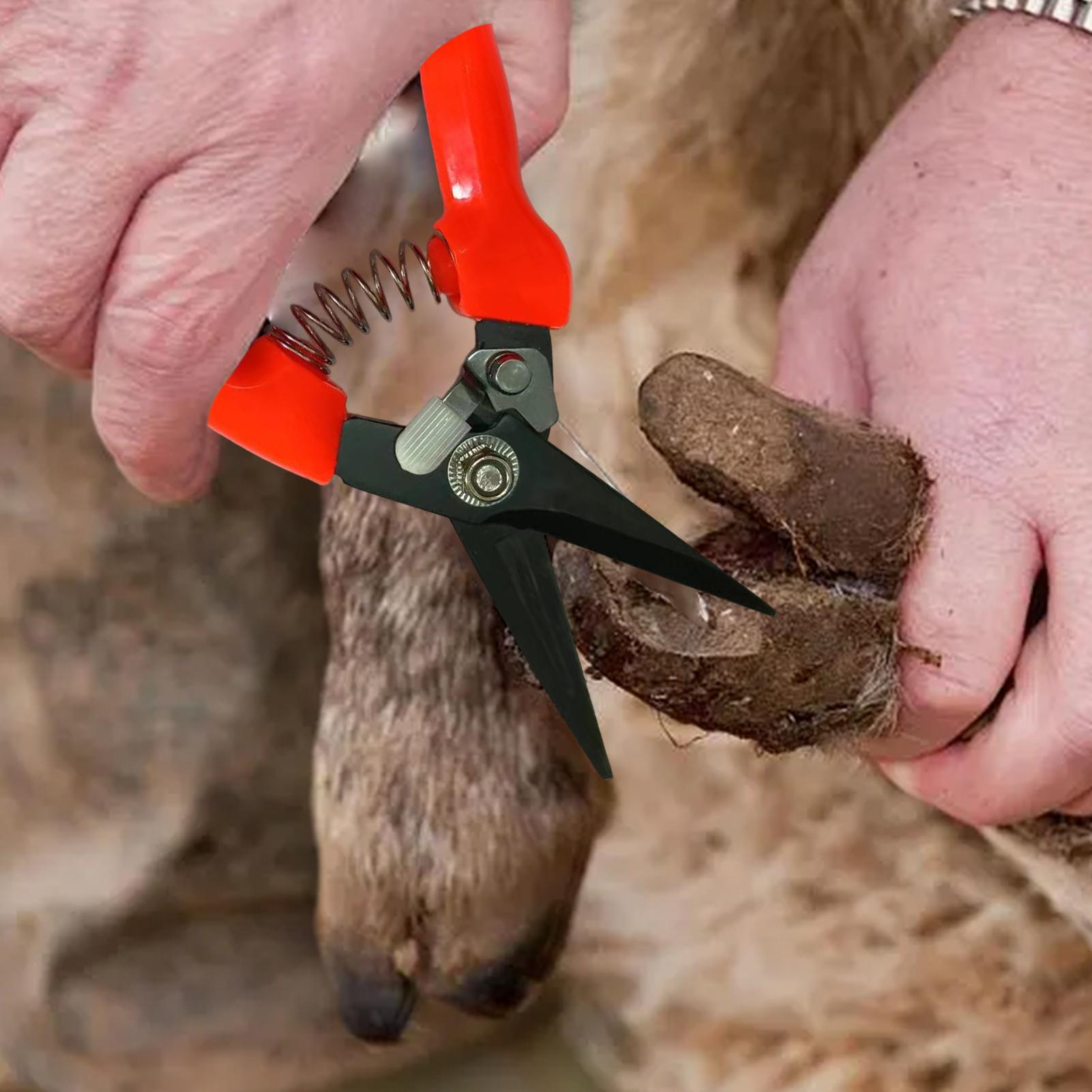 Obcinaki do pazurów owiec, noż – Garden Hand Trowel recenzja i cena
