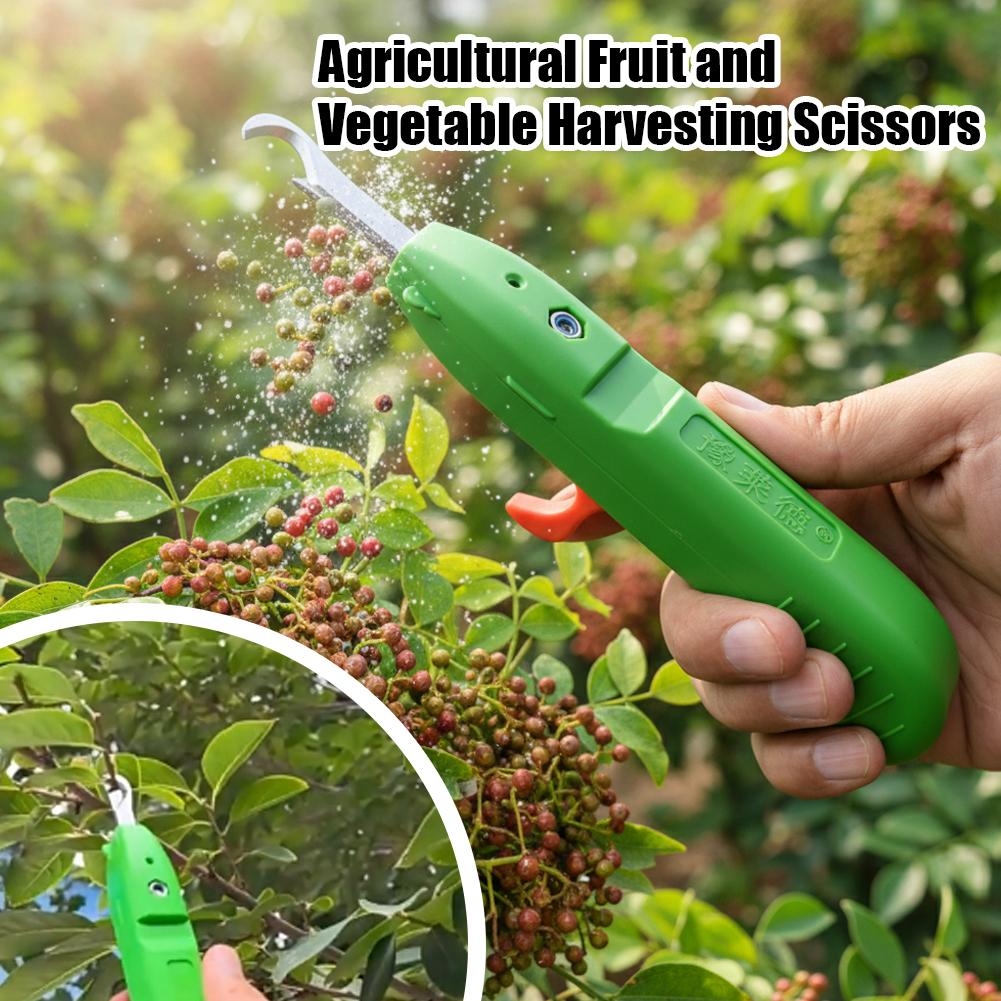 Nożyce do zbioru owoców i warz – Gardening Tools Combo recenzja i cena