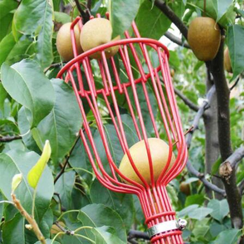 Głęboki kosz do zbioru owoców, – Gardening Tools Basket recenzja i cena