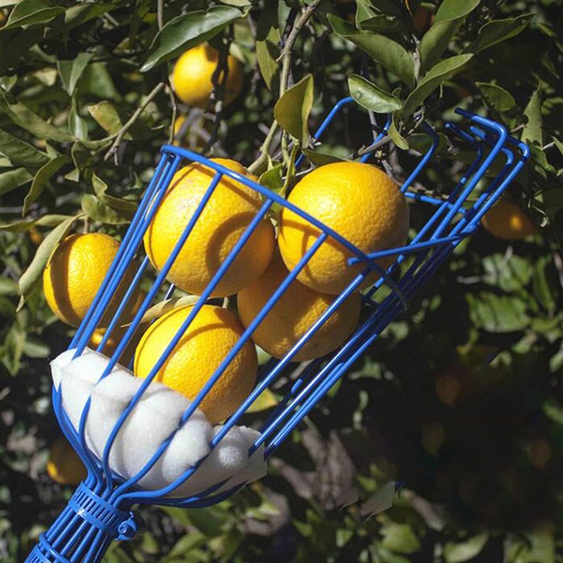 Głęboki kosz do zbioru owoców, – Gardening Tools Basket recenzja i cena