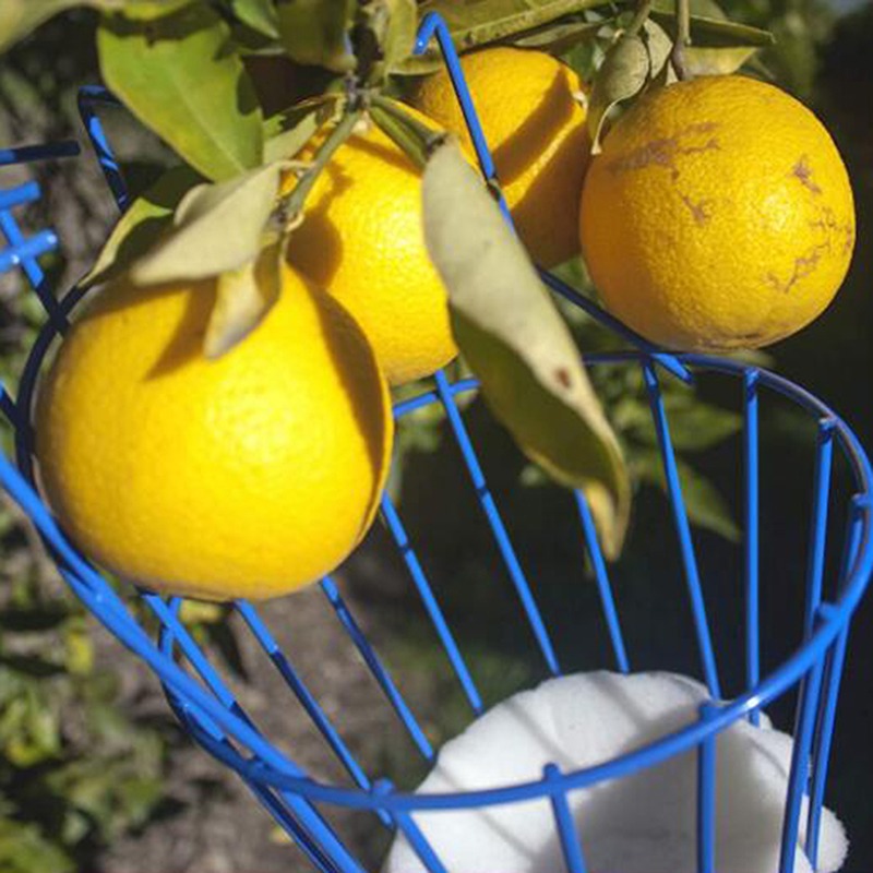 Głęboki kosz do zbioru owoców, – Gardening Tools Basket recenzja i cena