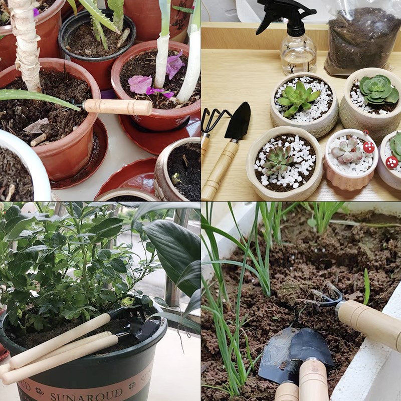 3 szt./1 zestaw Mini narzędzia – Gardening Tools Combo recenzja i cena