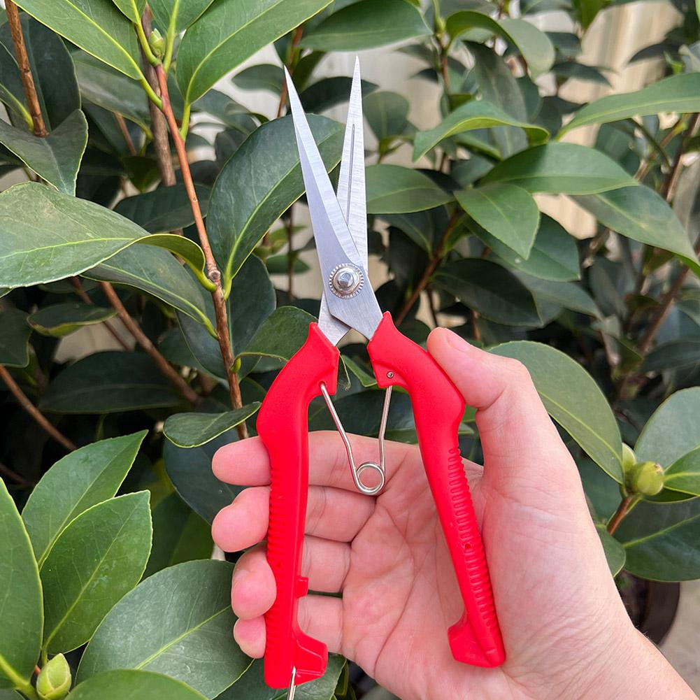 Profesjonalne nożyce ogrodowe  – Gardening Tools Combo recenzja i cena