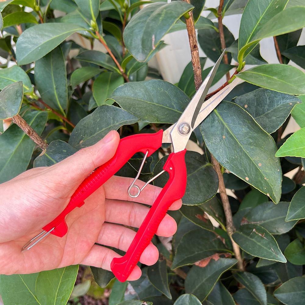 Profesjonalne nożyce ogrodowe  – Gardening Tools Combo recenzja i cena