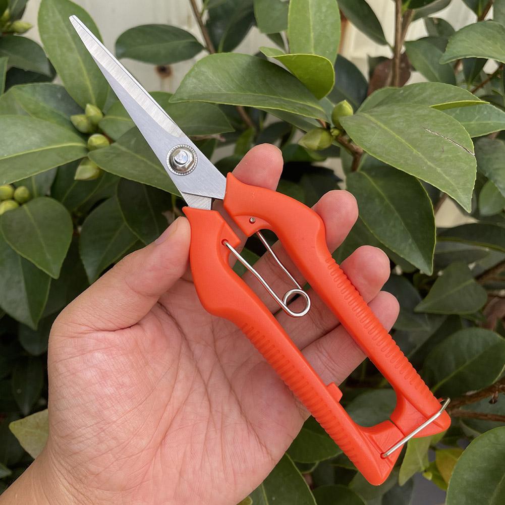Profesjonalne nożyce ogrodowe  – Gardening Tools Combo recenzja i cena