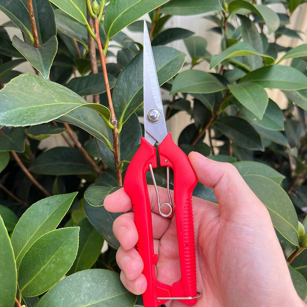 Profesjonalne nożyce ogrodowe  – Gardening Tools Combo recenzja i cena