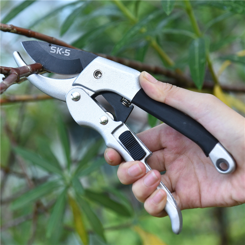 Nowy 20cm grzechotka do przyci – Garden Hand Trowel recenzja i cena