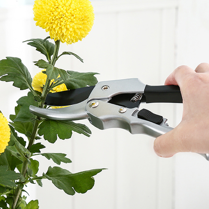 Nowy 20cm grzechotka do przyci – Garden Hand Trowel recenzja i cena