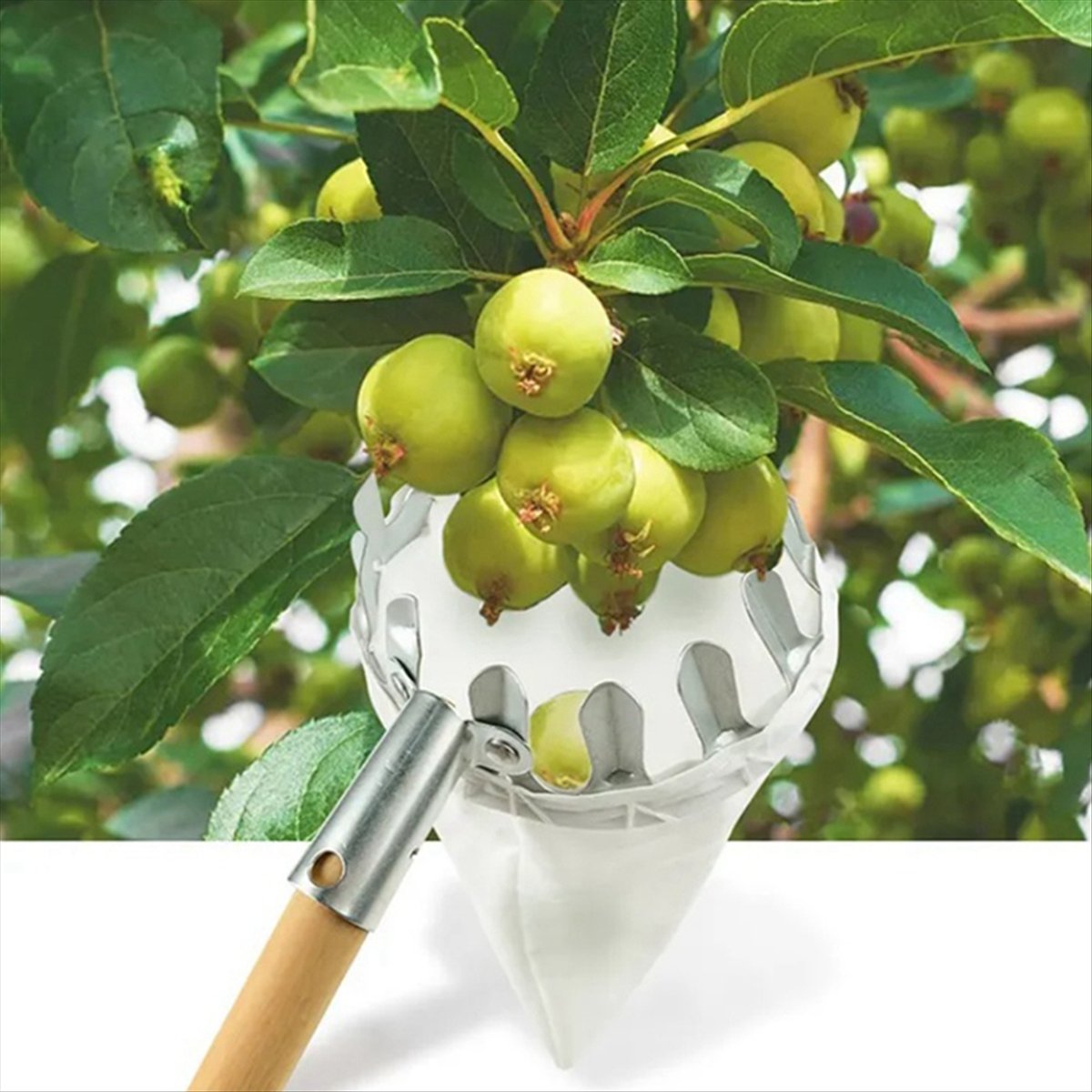 【Wyprzedaż】Metalowy zbierak do – Gardening Tools For Sale recenzja i cena
